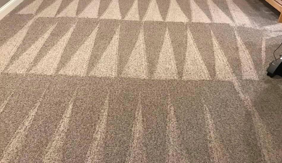 Carpet with fresh professional cleaning lines