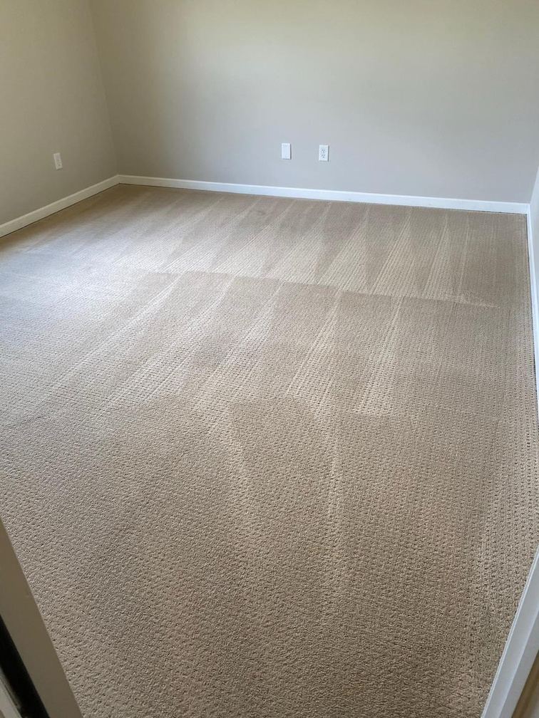 Empty bedroom carpet fully refreshed